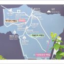 일제 경성호국신사 계단(108계단) 이미지