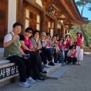 📿 운수사 삼사순례 직지사 · 부석사 · 봉정사 부처님 향기 따라 걷다.. 이미지