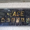 에이스골프존 이미지