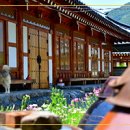 순천연리지한옥