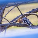 금와습지 생태공원 이미지