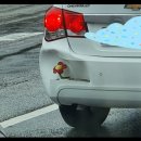 장어광장 이미지