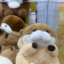 찌꼬뽀꼬 발산2호점 이미지