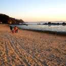 펜션노을&바다민박 이미지