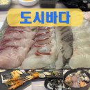 영등동-15 | 익산 영등동 도시바다 후기｜예약 필수! 모듬회·조개찜 그리고 해산물 구성미쳤다