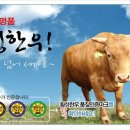 횡성 이미지