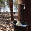 중앙고무 이미지