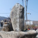 광양꽃업는 매실마을 축제여행 이미지