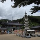정기산행 101차 신선봉. 성인봉 (645m) 이미지