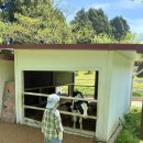 두신목장 이미지