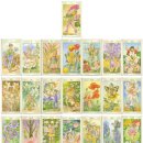 Sprit of Flowers Tarot 꽃의 정령 타로 0~Ⅶ 이미지