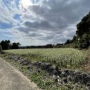 동광단지경로당 이미지