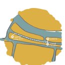 한류월드로+월드고양로 이미지