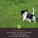 공감 - 보령시 돈바탕길 15 | 공감