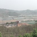 밤톨이 마을 이미지