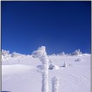제1차(379차 정기산행) 슈나이더(산과여행) 제주도 한라산 겨울산행 안내[2016년 1월 9일(토)~10일(일) 1박2일] 이미지