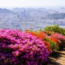 백양산 애진봉 이미지