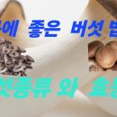 우리밥상의 건강 ㆍ버섯 종류와 효능 은 ? 이미지