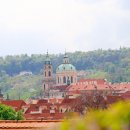 포도나무식당 이미지