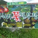 영암햇살농장 이미지