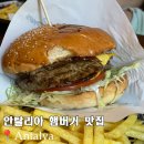 고려수제약 | 튀르키예 안탈리아구시가지맛집 수제버거 하드리아누스 문 근처