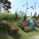 뉴코스모스호 2 이미지