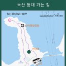 여수연안여객선터미널 이미지