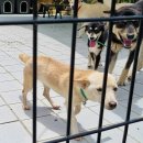 이호 농장 이미지