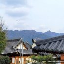 스테이독채 펜션 민박 이미지