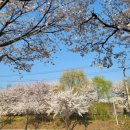 아리랑개성손만두전문점 이미지