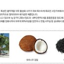 야자 이미지