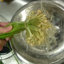 향-고향의 봄 이미지