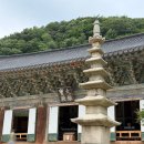 고창청정녹차농원 | 전북 고창 가볼만한곳 선운사 전통문화 무료 체험 폴바셋