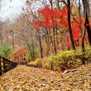 숲속공원놀이터 이미지