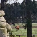 헌치 게스트하우스 이미지