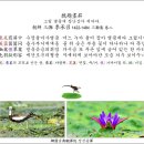 古方[7671]삼탄三灘이승소李承召-戲題畫屛희제화병 이미지