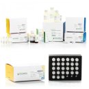 ㈜포커스글로벌 이미지