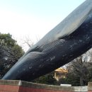 과학사랑 이미지