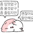 우리동네식육점대구 이미지