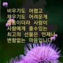 승명 이미지