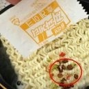 그 고기집 헬스조선