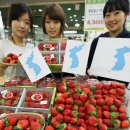 청동농장 이미지