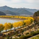 옛길가든 이미지