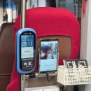 간송도로변 | 대구 수성못 수성투어버스 주말 가격 예약 후기