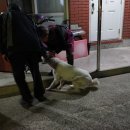 대인민박 이미지