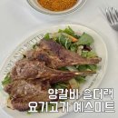 예스미트 | 요기고기 예스미트 양갈비 숄더랙 스테이크 후기