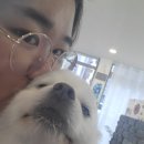 용 궁 네이버블로그