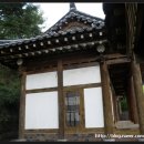 충신의사단비 이미지