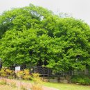 함박공원 이미지