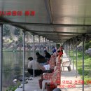 양원리낚시터 이미지